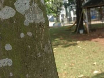 Rumah idaman keluarga Muslim Indonesia Cibubur dekat Metland Cileungsi Bogor