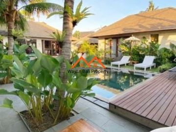 Villa Mewah Pinggir Jalan Batu Belig Seminyak