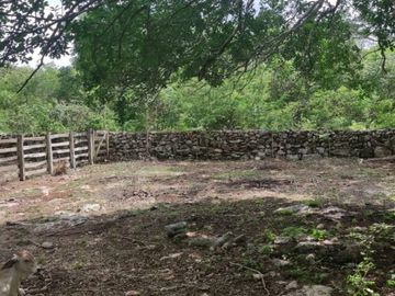 TERRENO EN VENTA TEMAX YUCATAN