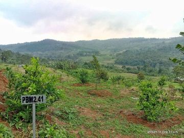 Investasikan Uang Anda disini aja Tanah Kavling Murah Banget di BOGOR