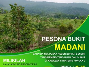 Investasikan Uang Anda disini aja Tanah Kavling Murah Banget di BOGOR