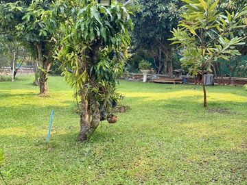 , ThailandYour Ideal Land Awaits: 1,620 SqM in Chomphu, Chiang Mai!