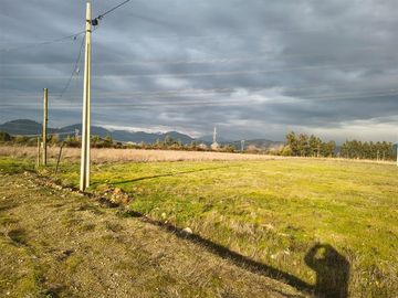 En venta 5 parcelas de 5.000 m2 c/u San Clemente.