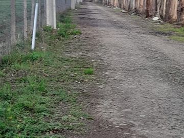 En venta 5 parcelas de 5.000 m2 c/u San Clemente.