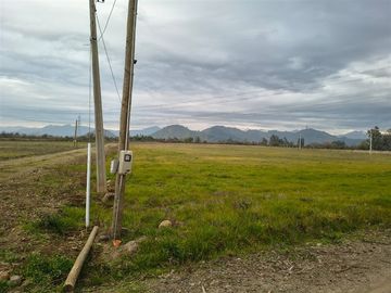 En venta 5 parcelas de 5.000 m2 c/u San Clemente.