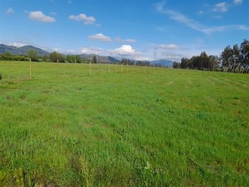 En venta 5 parcelas de 5.000 m2 c/u San Clemente.