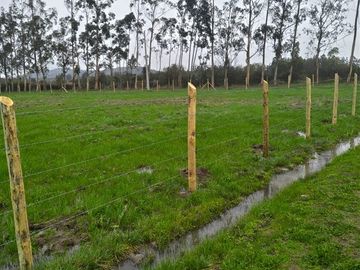 En venta 5 parcelas de 5.000 m2 c/u San Clemente.