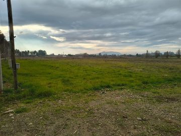 En venta 5 parcelas de 5.000 m2 c/u San Clemente.