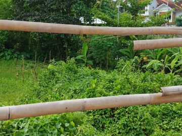 TANAH LOKASI PREMIUM ITR PEMUKIMAN DI TEGAL CUPEK KEROBOKAN BADUNG