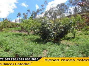 Quinta Hacienda de venta en Sinincay - Deleg – código:13547