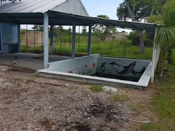 CASA EN VENTA, DE CAMPO. PUERTO RICO, CARMEN, CAMPECHE.