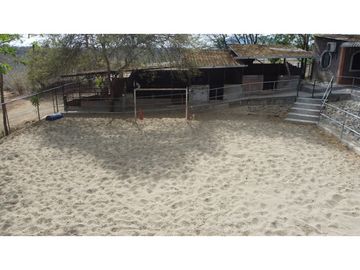 En venta Quinta Vacacional productiva Sector las Palmas.