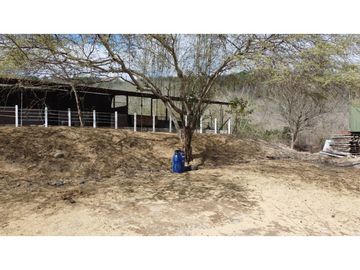 En venta Quinta Vacacional productiva Sector las Palmas.