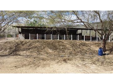 En venta Quinta Vacacional productiva Sector las Palmas.