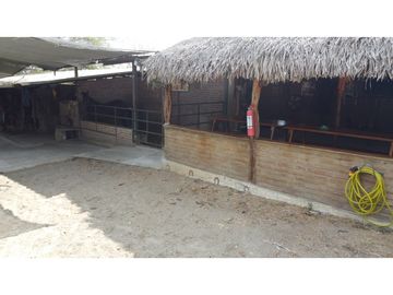 En venta Quinta Vacacional productiva Sector las Palmas.