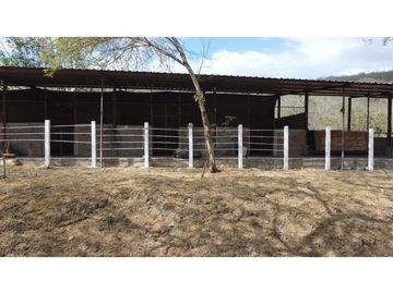 En venta Quinta Vacacional productiva Sector las Palmas.