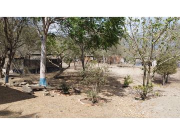 En venta Quinta Vacacional productiva Sector las Palmas.