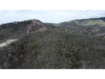 En venta Quinta Vacacional productiva Sector las Palmas.