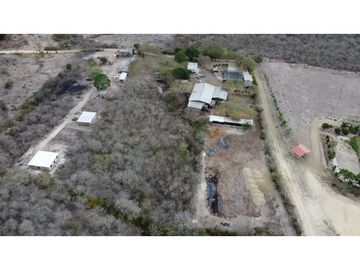 En venta Quinta Vacacional productiva Sector las Palmas.