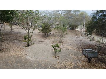 En venta Quinta Vacacional productiva Sector las Palmas.