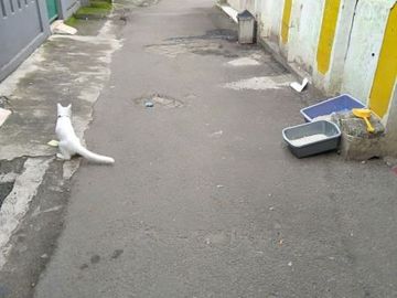 Rumah Dijual Di Ciputat Bebas Banjir