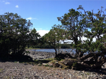 Sitio en Venta en Lago Puyehue