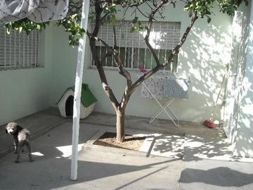 Muy linda casa 3 amb mas depto 2 amb. Excelente estado ISIDRO CASANOVA