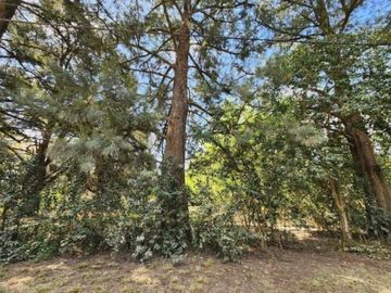 5 lotes en venta en Villa Adriana, Cañuelas