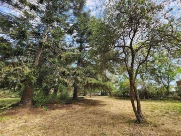 5 lotes en venta en Villa Adriana, Cañuelas