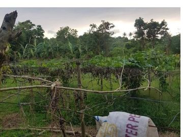 AFFORDABLE AND BEST DEAL TAGAYTAY FARM LOT BEST FOR RESORT, HOUSING, RECREATION CENTER, SEMINARY, REST HOUSE