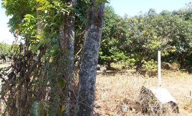 Residential/Agricultural Lot in Bauang, La Union &ndash; 2,752 sqm (SOLD)