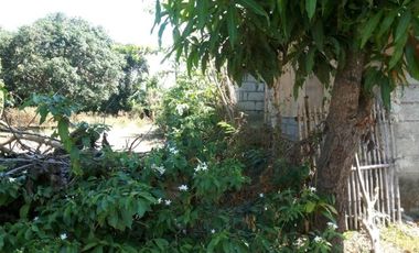 Residential/Agricultural Lot in Bauang, La Union &ndash; 2,752 sqm (SOLD)