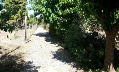 Residential/Agricultural Lot in Bauang, La Union &ndash; 2,752 sqm (SOLD)