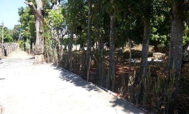 Residential/Agricultural Lot in Bauang, La Union &ndash; 2,752 sqm (SOLD)