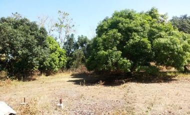 Residential/Agricultural Lot in Bauang, La Union &ndash; 2,752 sqm (SOLD)