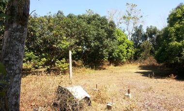 Residential/Agricultural Lot in Bauang, La Union &ndash; 2,752 sqm (SOLD)