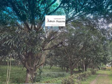 3-Hectare Farm With 7 Bedroom House and Swimming Pool For Sale in Lipa, Batangas