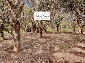 3-Hectare Farm With 7 Bedroom House and Swimming Pool For Sale in Lipa, Batangas