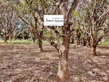 3-Hectare Farm With 7 Bedroom House and Swimming Pool For Sale in Lipa, Batangas