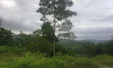 Overlooking 280 Sqm Lot for Sale in Greenwoods near Talamban Cebu City with Mountain View