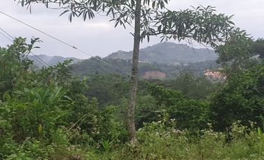 Overlooking 280 Sqm Lot for Sale in Greenwoods near Talamban Cebu City with Mountain View