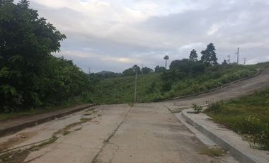 Overlooking 280 Sqm Lot for Sale in Greenwoods near Talamban Cebu City with Mountain View