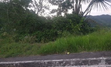 Overlooking 280 Sqm Lot for Sale in Greenwoods near Talamban Cebu City with Mountain View
