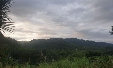 Overlooking 280 Sqm Lot for Sale in Greenwoods near Talamban Cebu City with Mountain View