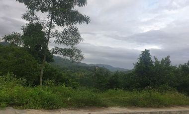 Overlooking 280 Sqm Lot for Sale in Greenwoods near Talamban Cebu City with Mountain View