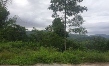 Overlooking 280 Sqm Lot for Sale in Greenwoods near Talamban Cebu City with Mountain View