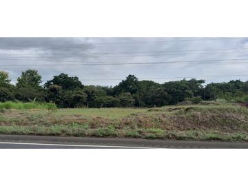 VENDO TERRENO EN EL GAVILAN, DE LA MESA