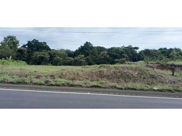 VENDO TERRENO EN EL GAVILAN, DE LA MESA