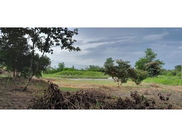 VENDO TERRENO EN EL GAVILAN, DE LA MESA