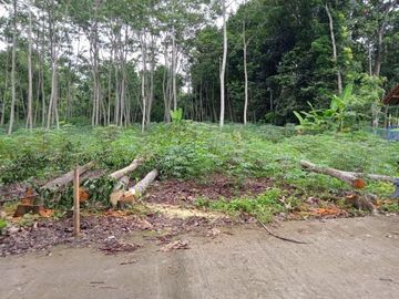 Rumah dekat Wisata Internasional Candi Prambanan Minimalis Murah 250 Jt Siap Bangun
